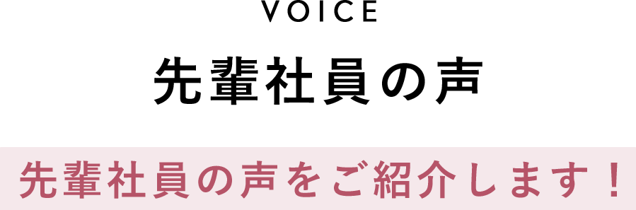 先輩社員の声
